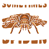 Spider Web Crawling