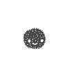 Spider Halloween Tarantula