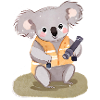Adventurer Koala Finn