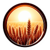 Goldenes Feld