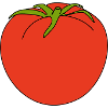 Tomato
