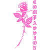 Compassion Rose in Pink