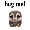 Süßes Tierchen