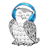 Owl with headphones