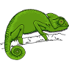 Chameleon green