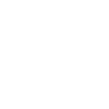 Stewardess