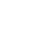 Steward