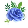 Blue rose with leaves