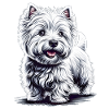 West Highland White Terrier