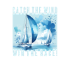 Voiliers Course Mer
