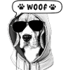 Beagle en capuche