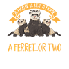 Ferret Owner Ferret