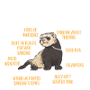 Furet, propriétaire de furet