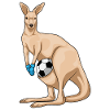 Kangaroo Goalkeeper Soccer