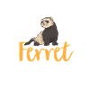 Ferret Owner Ferret