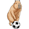 Capybara Joueur De Football