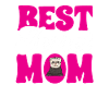 Ferret Owner Ferret
