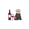 Ferret Owner Ferret