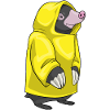Veste de pluie Mole Rain