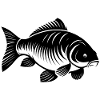 Carpe noir et blanc
