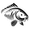 Carp modern white