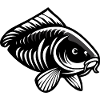 Carp creative black
