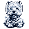 West Highland White Terrier