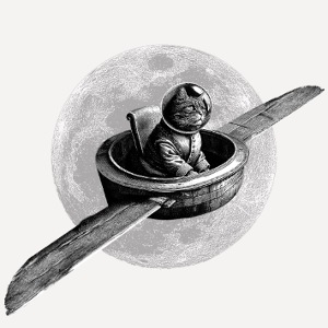 True Moon Love – Fliegende Katze