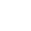Elegant Penguin