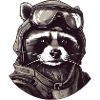 Waschbär Pilot