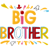 BIG BROTHER