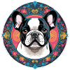 Bouledogue français
