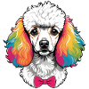 Poodle