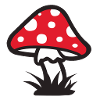 :: Toadstool 2 :: muscimol ::