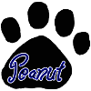 Peanut Logo