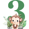 3e anniversaire singe safari