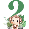 2nd Birthday Monkey Safari
