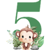 5th Birthday Monkey Safari