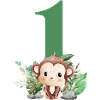 1e anniversaire singe safari