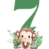 7e anniversaire singe safari