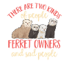 Ferret Owner Ferret
