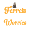 Ferret Owner Ferret