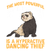 Ferret Owner Ferret