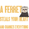 Ferret Owner Ferret