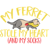 Ferret Owner Ferret