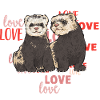 Ferret Owner Ferret