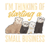 Ferret Owner Ferret