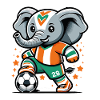 Ivoorkust Ivoriaanse olifant voetbalshirt