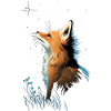 Fox with starry sky