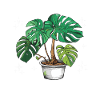 Fun Houseplant Nursery
